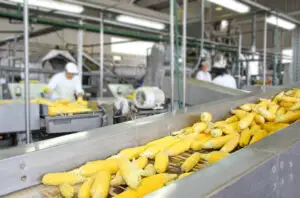 Sindicaliștii din industria alimentară iau atitudine: E un drept al angajaților ignorat de statul român