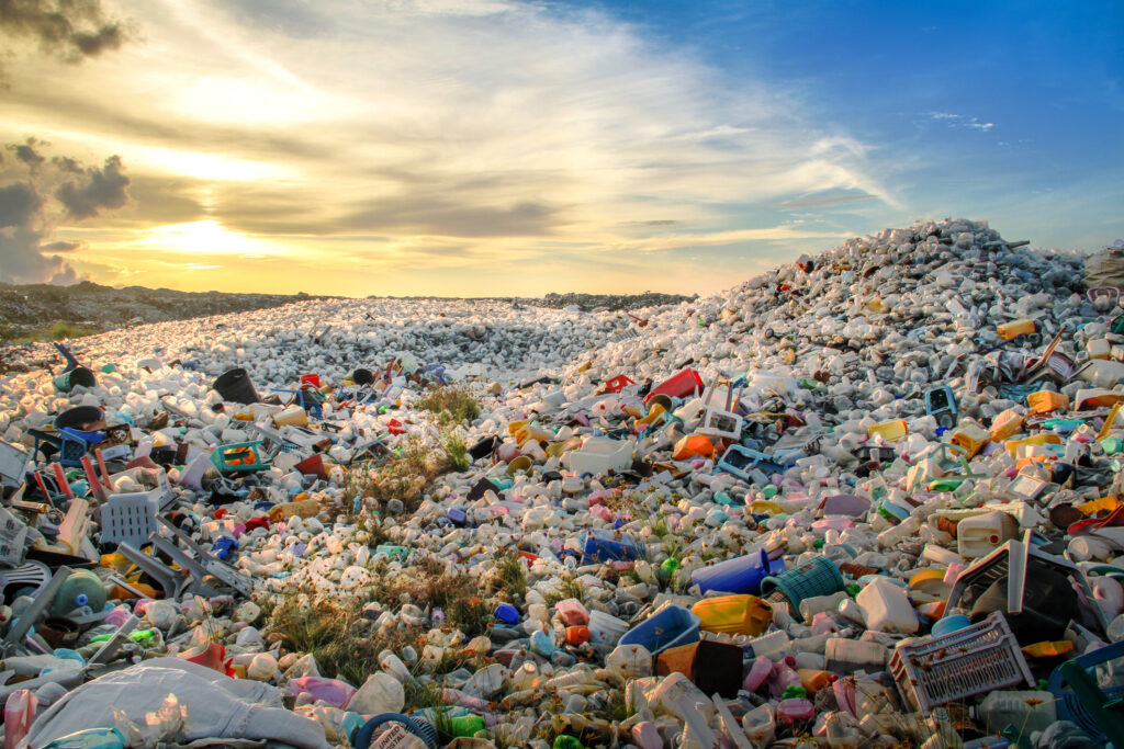 Ministrul Economiei, despre reducerea produselor de plastic: Un obiectiv ce trebuie urmărit de toate industriile