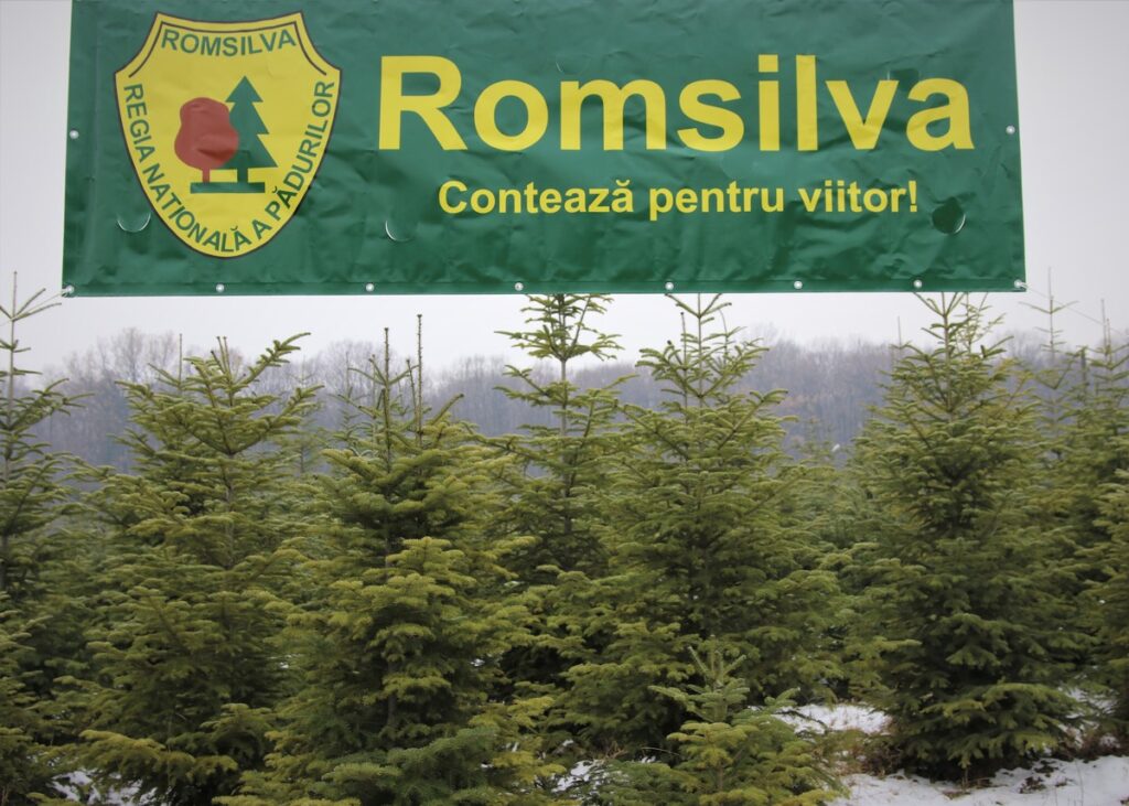 Romsilva, 2 miliarde de lei cifra de afaceri, anul acesta