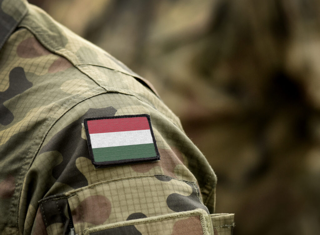 Ministerul Apărării de la Budapesta: Ungaria își asumă un rol important pentru consolidarea Flancului Estic al NATO