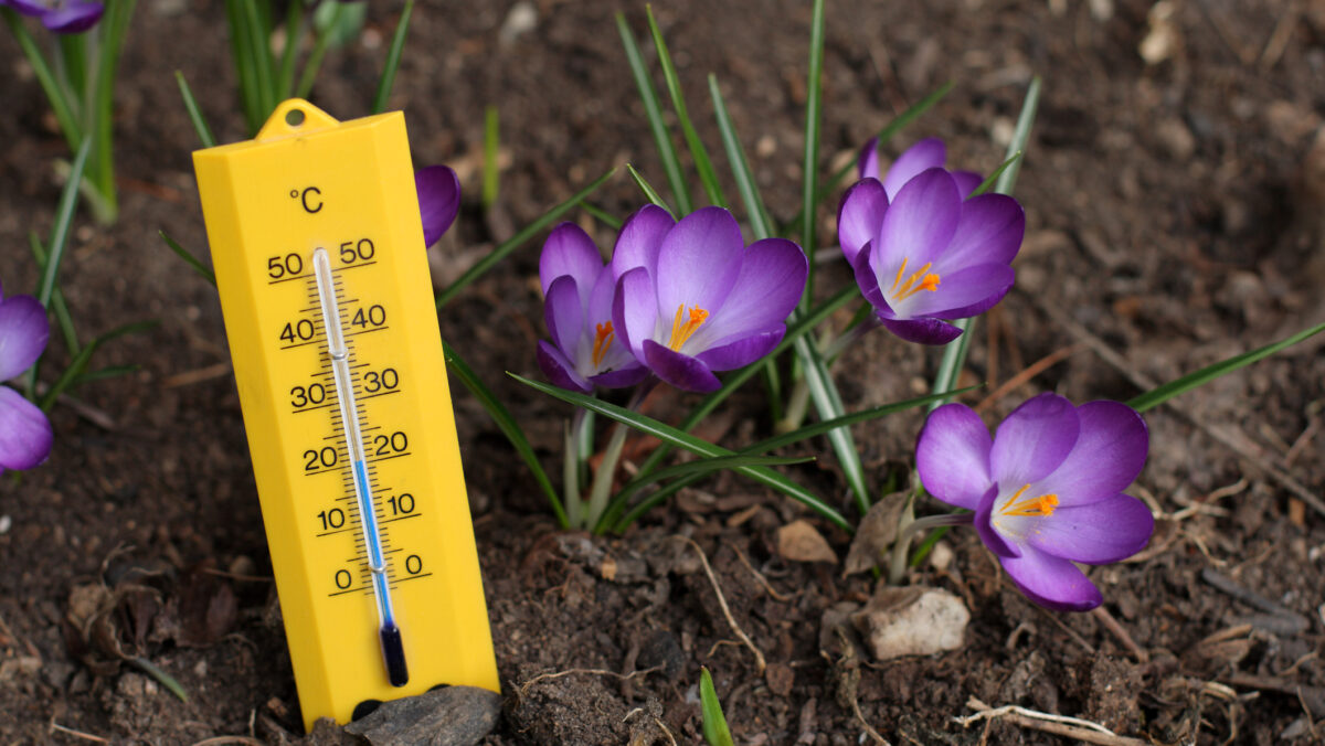 Primăvara vine mai devreme! Vor fi 20 de grade în România