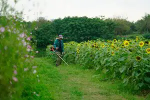 Cum te echipezi în gospodărie pentru această primăvară