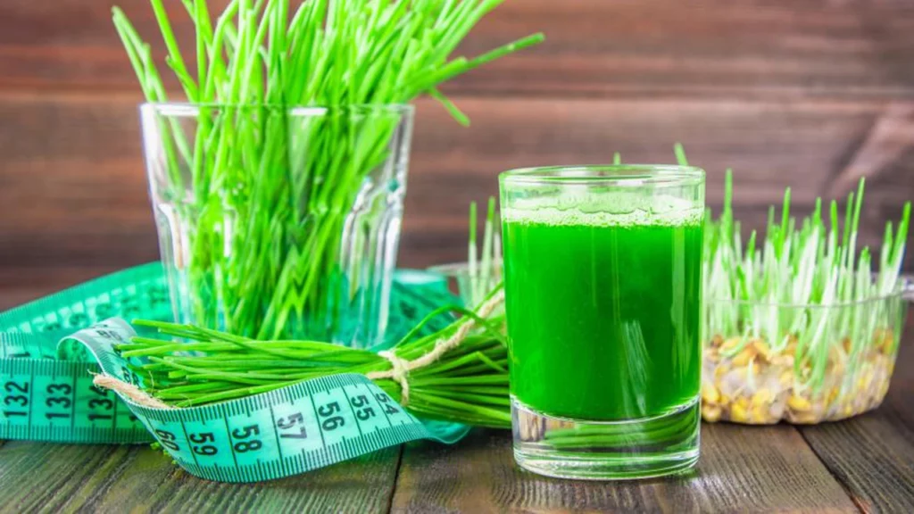 Cel mai bun remediu natural pentru organism! Cum prepari de fapt “sângele verde”