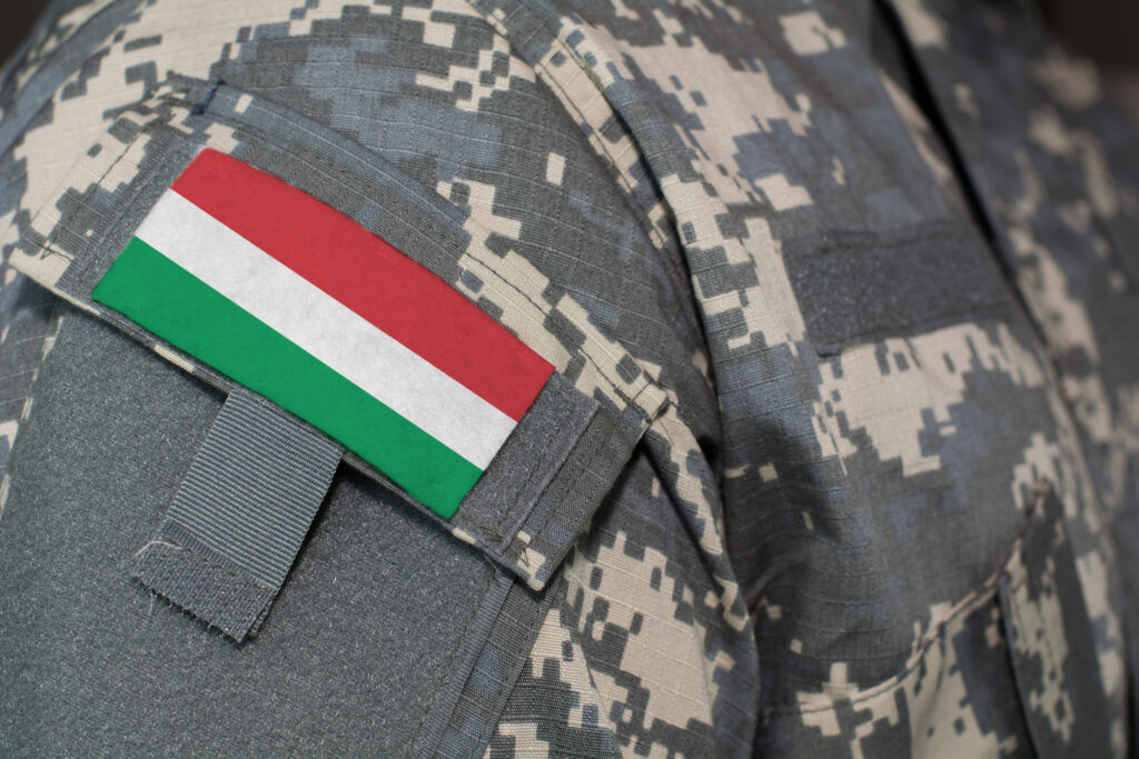 Ungaria a mobilizat deja Armata! Alertă maximă lângă România. Ordinul a fost dat chiar acum
