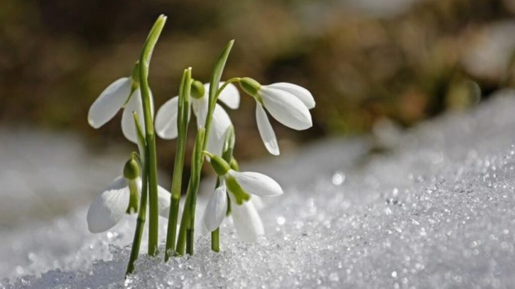 Vremea a luat-o razna în România! Prognoza meteo ANM de ultimă oră. Ce ne așteaptă în weekend