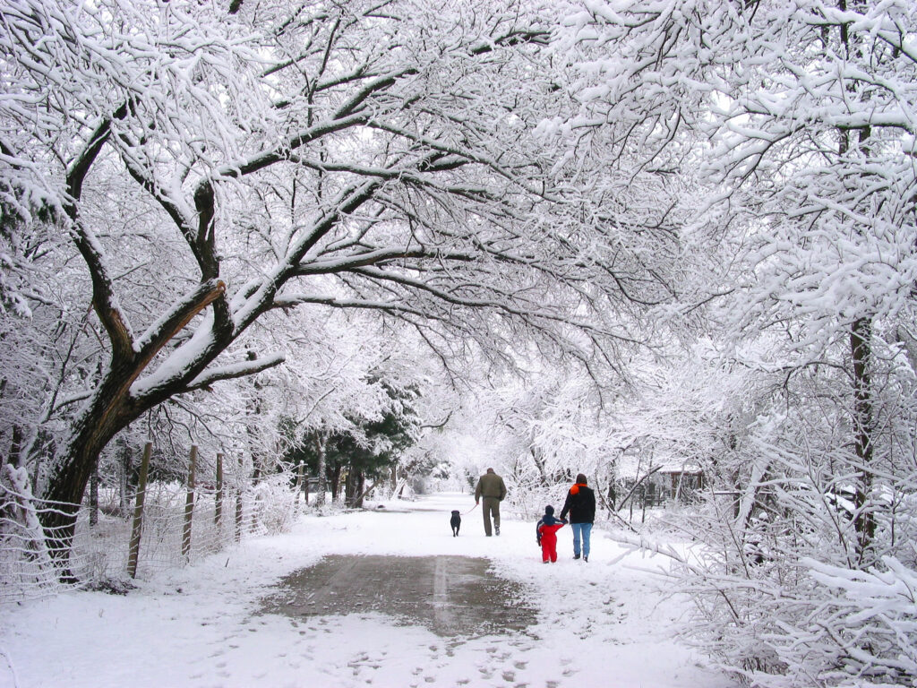 Vremea o ia razna complet în România! Alertă meteo ANM. Vine iarna în toată regula cu ninsori puternice