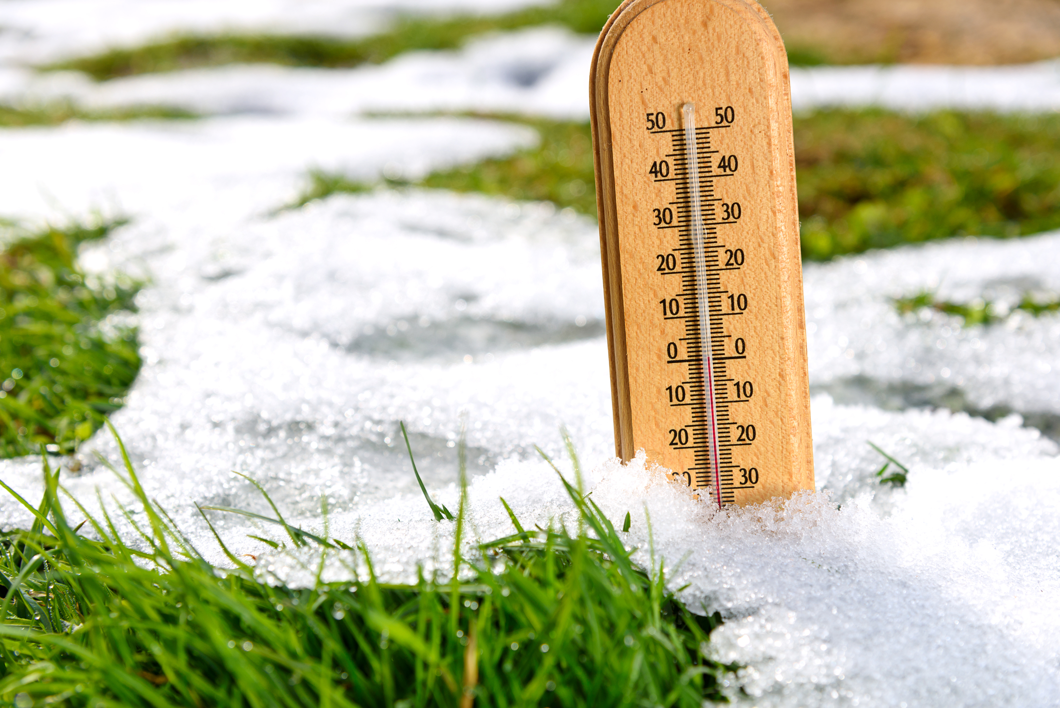 PROGNOZA METEO PRIMĂVARA