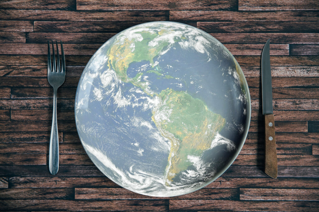 Urmează o criză alimentară globală?! ONU: Vorbim despre o catastrofă