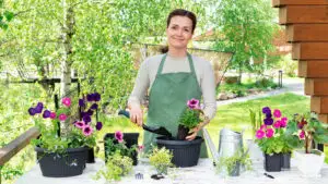 Aceste plante trebuie ținute neapărat în casă! Aduc noroc și te scapă de energiile negative