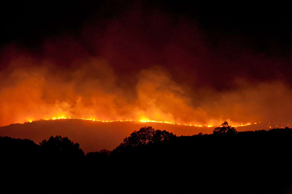 România arde! Pompierii lucrează de trei zile la stingerea unui incendiu care a ars peste 150 de hectare de teren