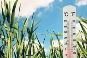 A venit vara în România! Temperaturi de peste 25 grade. Prognoza meteo ANM