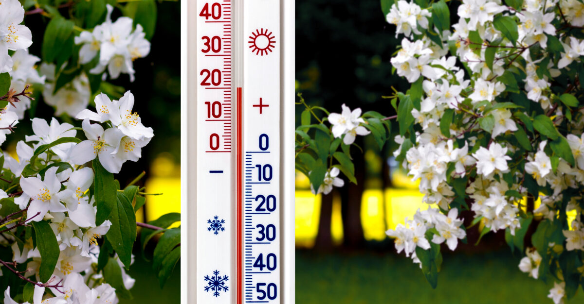 Vine primăvara în România! Prognoza meteo ANM. Vremea se încălzește până la 18 grade Celsius