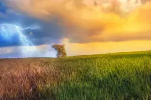 Cum va fi vremea de Florii. Temperaturile o iau razna complet. Prognoza meteo ANM actualizată