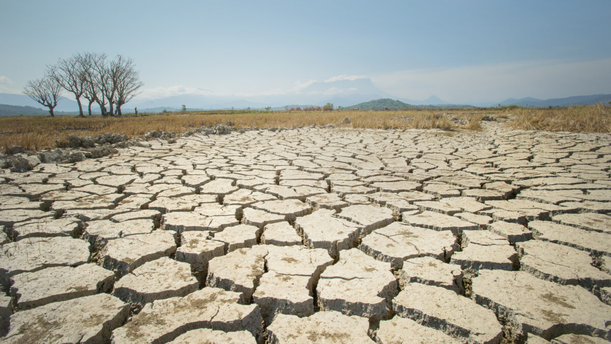 încălzire globală seceta desertificare