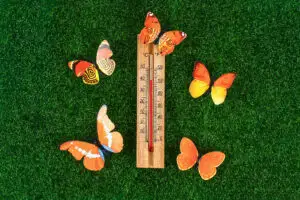 Cum va fi vremea în luna mai în România. Prognoza meteo ANM lunară