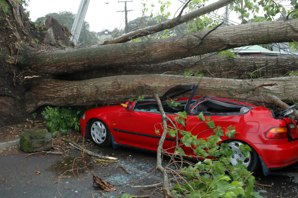 UPDATE Furtună puternică în Capitală! 26 maşini avariate şi zeci de copaci rupţi. Mesaj RO-ALERT pentru bucureşteni