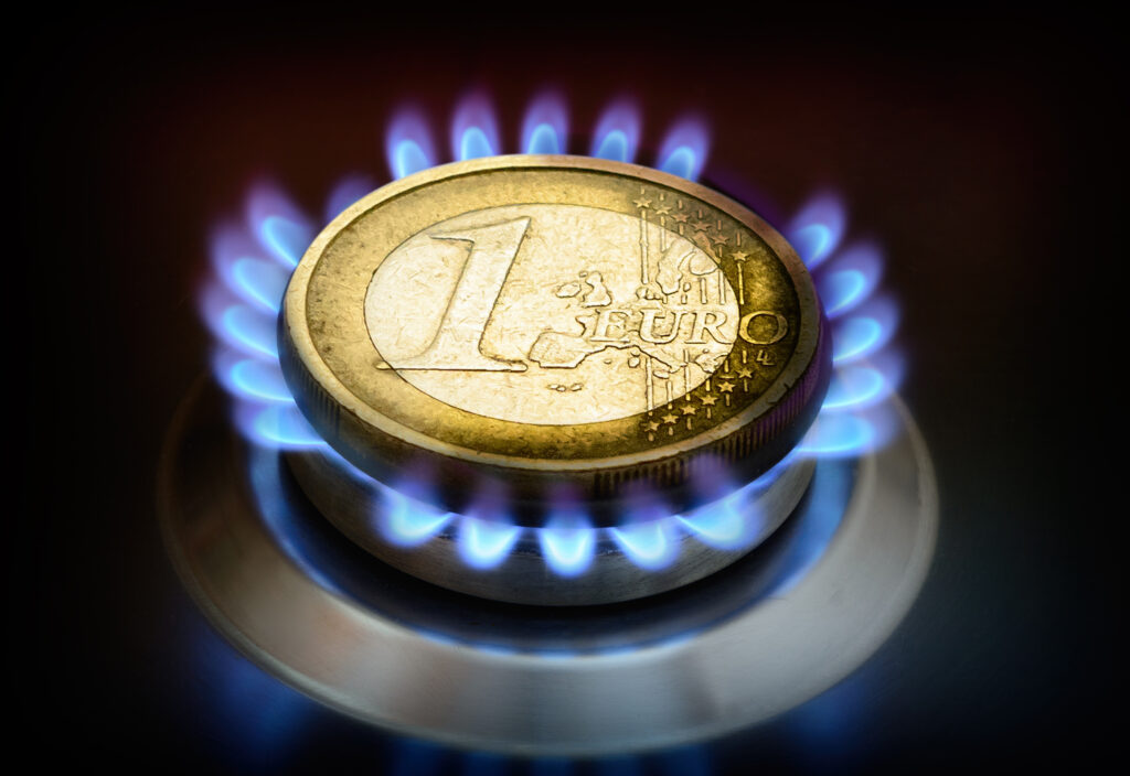 UE vrea ca statele membre să ia parte la schema de achiziţii comune de gaze