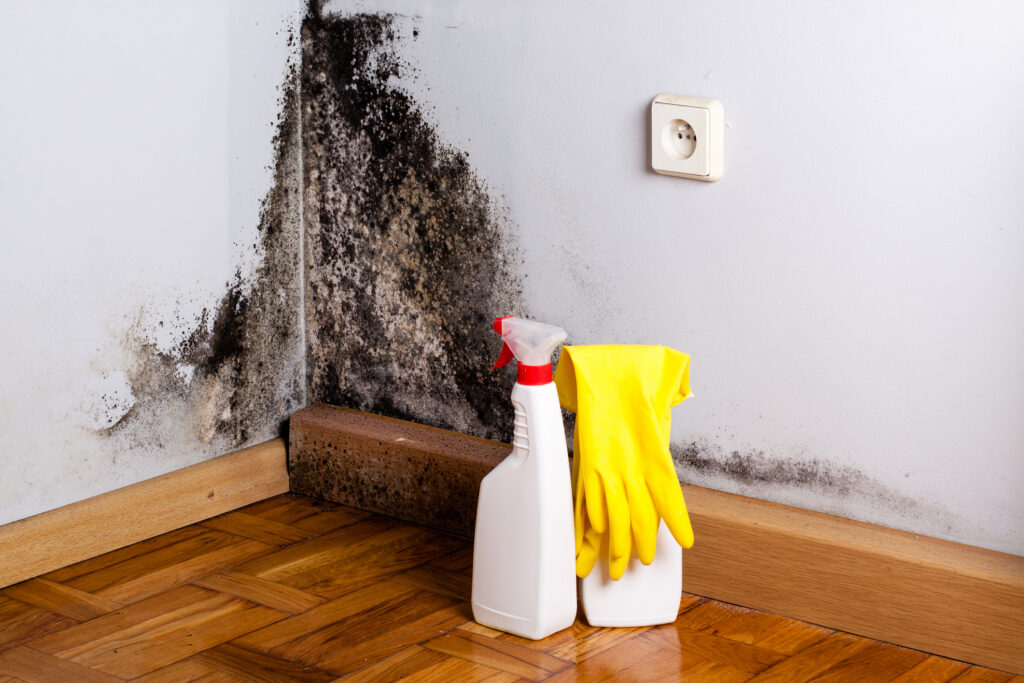 Cum puteți scăpa definitiv de mucegaiul de pe pereți. Soluția preparată rapid în casă