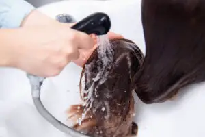 Este bine să ne spălăm părul cu bere? Iată tot ce trebuie să știm