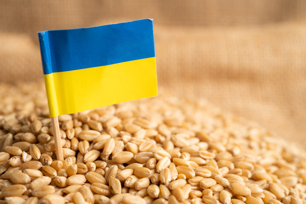 Exporturile de cereale a Ucrainei s-au prăbuşit cu aproape 30% în acest an