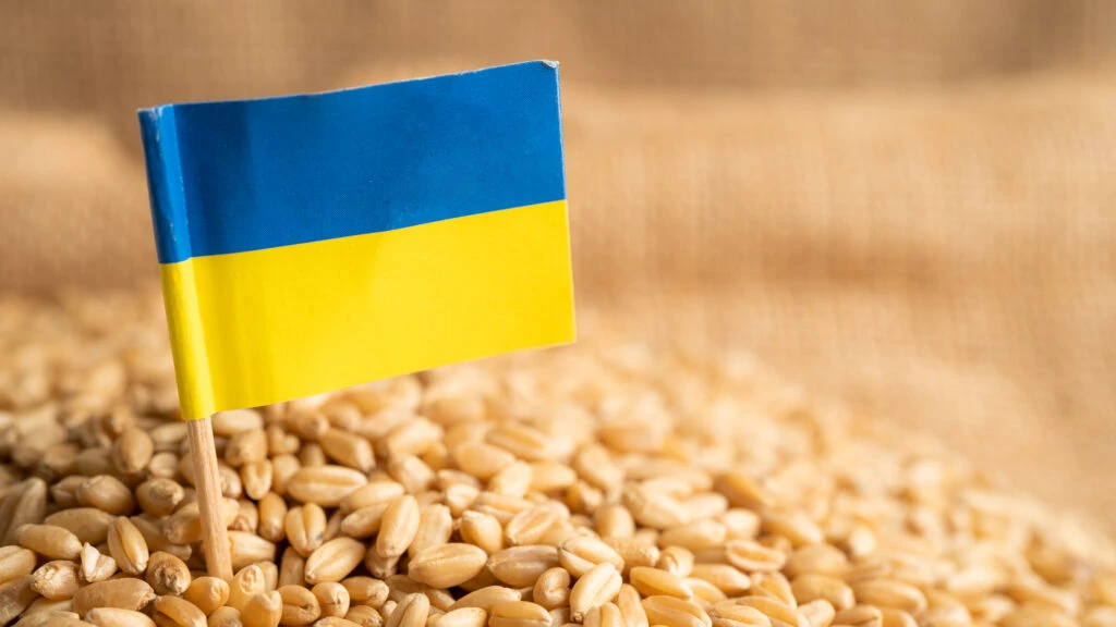 Alertă în Europa. Nivel ridicat de pesticide nocive, confirmat într-un transport de grâu din Ucraina