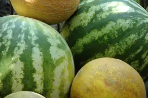 Nu mai faceți asta niciodată când cumpărați pepene! Unde trebuie ținut, de fapt