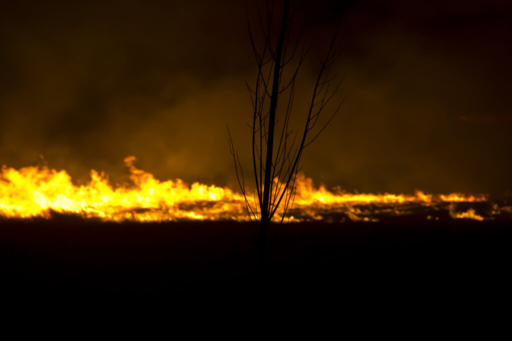 Incendii devastatoare în Portugalia. Autoritățile au trimis mesaje de avertizare