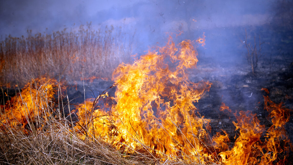 UPDATE: Incendii în Grecia și Turcia. Incendiul de la nord de Atena a fost stins. Turiștii din Kusadasi au fost duși pe plajă