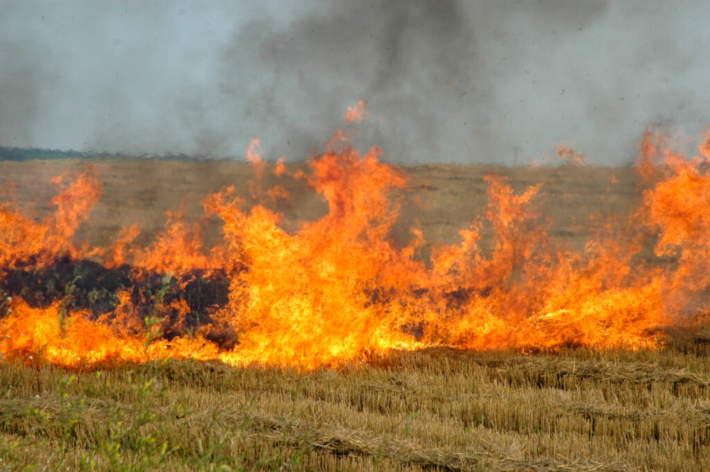 Ministrul Mediului dezminte informațiile privind incendiile din România! „Realitatea este cu totul alta”