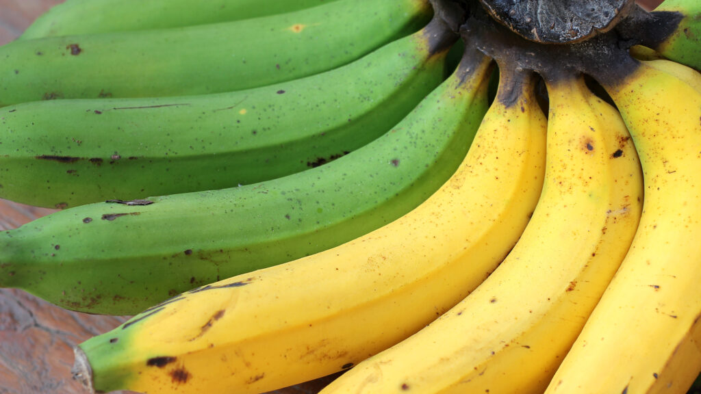 Ce se întâmplă în corpul nostru când mâncăm banane verzi. Care sunt avantajele pentru sănătate