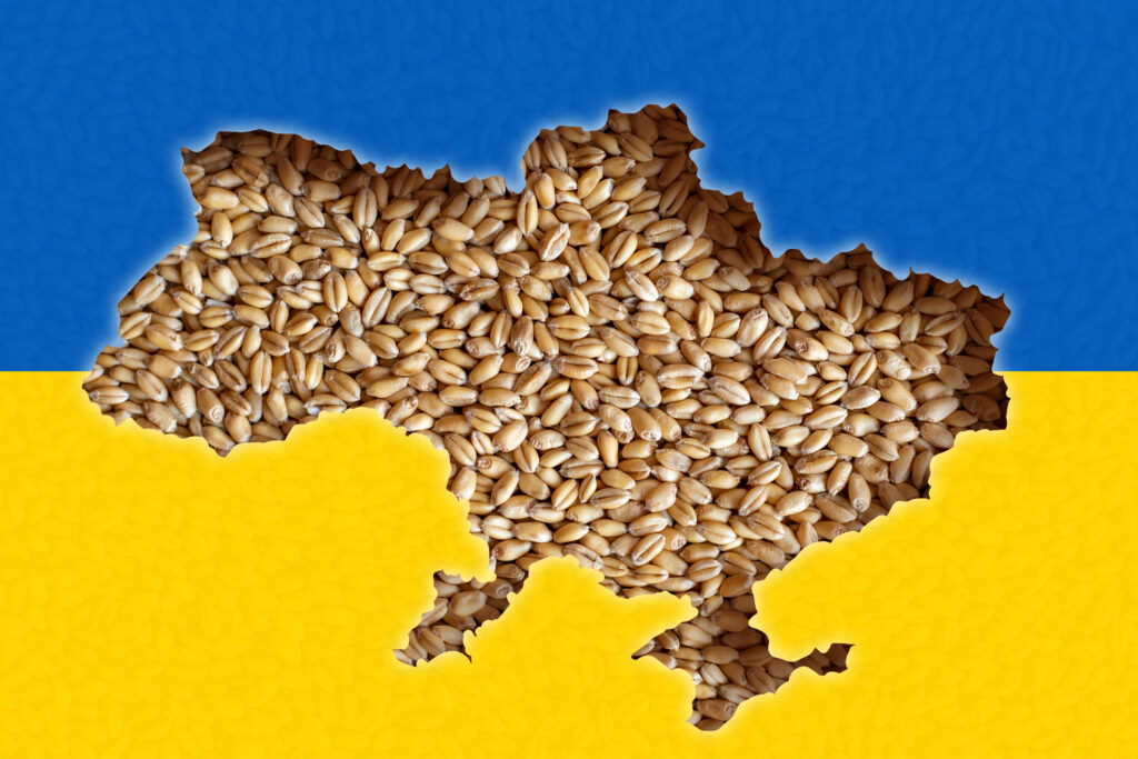 Guvernul ungar elimină obligația de notificare a exportului de cereale: Nu reprezintă un risc pentru securitate