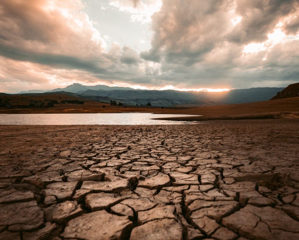 România suferă din cauza secetei. Suprafață totală afectată a crescut. Dunărea, la jumătate din debit