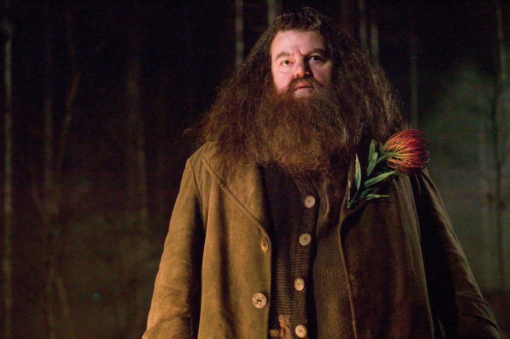 Actorul care l-a interpretat pe Hagrid în seria Harry Potter s-a stins din viață la 72 de ani