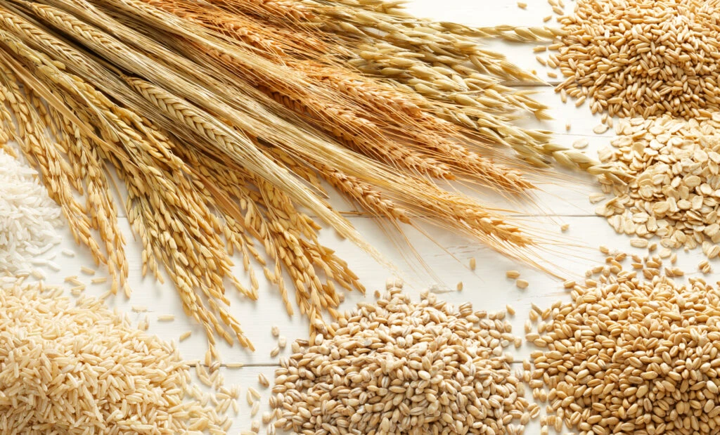 Comisia Europeană a mobilizat 1 miliard de euro pentru exportul de cereale din Ucraina