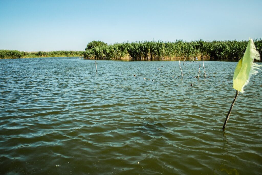 Greenpeace atrage atenția asupra situației din Delta Dunării. Trebuie realizată urgent o evaluare