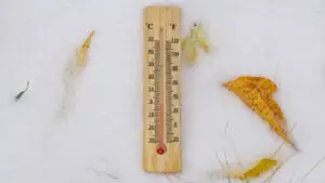 Vine iarna în România! Când va ninge. Vor fi -3 grade Celsius