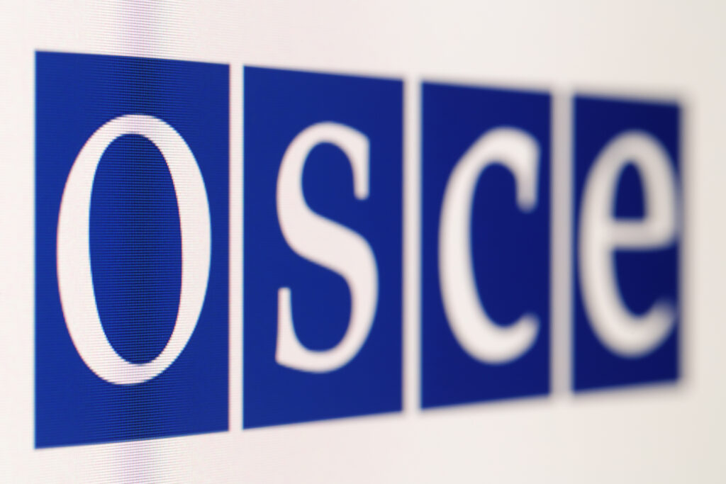 Zelenski contestă apartenența Rusiei la OSCE: De ce, după nouă luni de crime mai este încă membru?