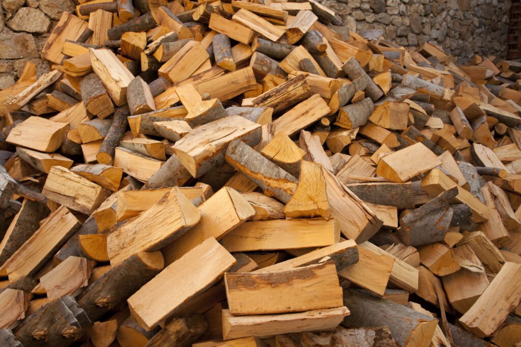 90% din lemnul din păduri este exploatat de SRL-uri cu acționariat 100% românesc