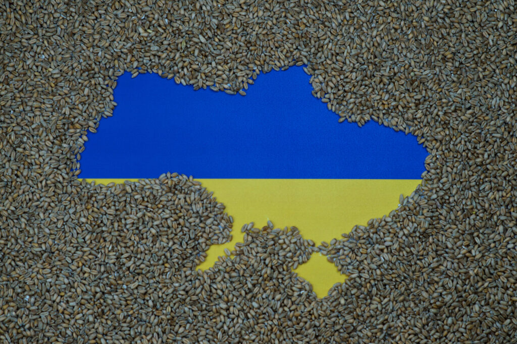 Recoltele de cereale din Ucraina sunt afectate de război. Ar putea scădea în acest an până la 44,3 milioane de tone