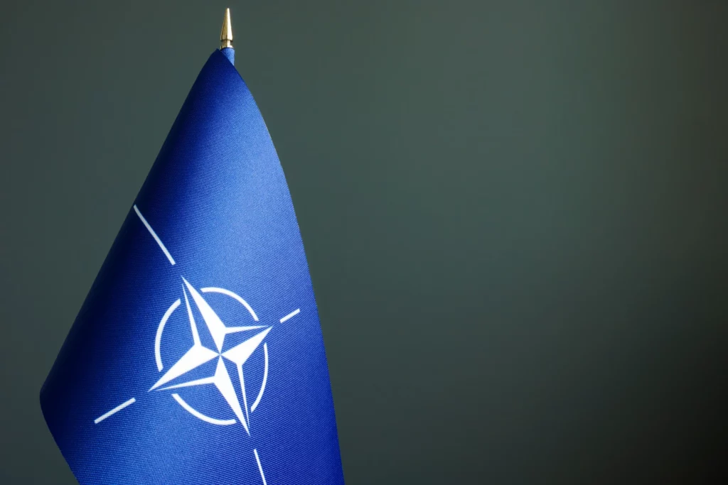 NATO a interzis oficial utilizarea TikTok pe telefoanele de serviciu