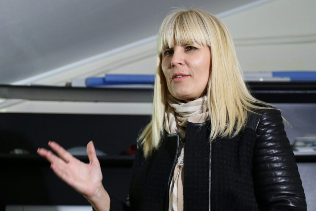 Elena Udrea, dezvăluiri direct din închisoare: Statul Paralel se pregătește să intre în lupta pentru putere