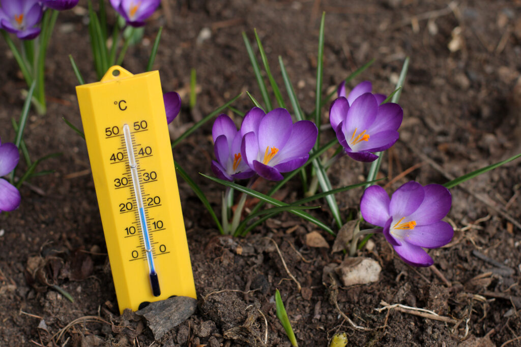 Vremea schimbă foaia în România! Temperaturi de primăvară în toată țara. Prognoza meteo ANM