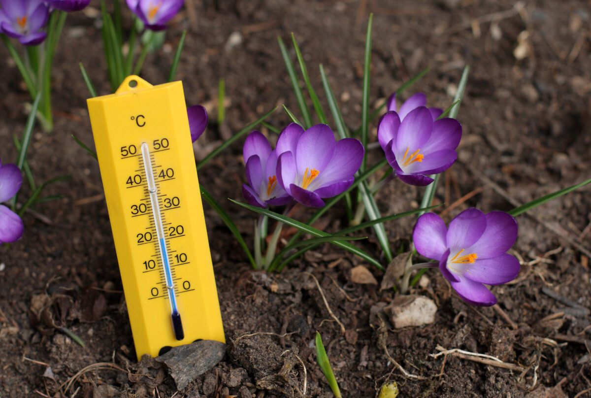 Vremea schimbă foaia în România! Temperaturi de primăvară în toată țara. Prognoza meteo ANM