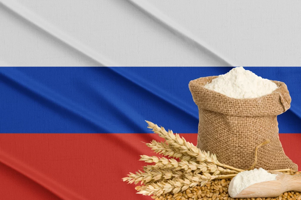 Exporturile de grâu ale Rusiei aproape s-au dublat. Nivelul este mai ridicat de cât cel înregistrat înainte de război