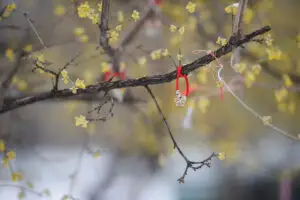 Vreme schimbătoare, duminică, 5 martie. Avem parte de temperaturi mai scăzute și soare trecător