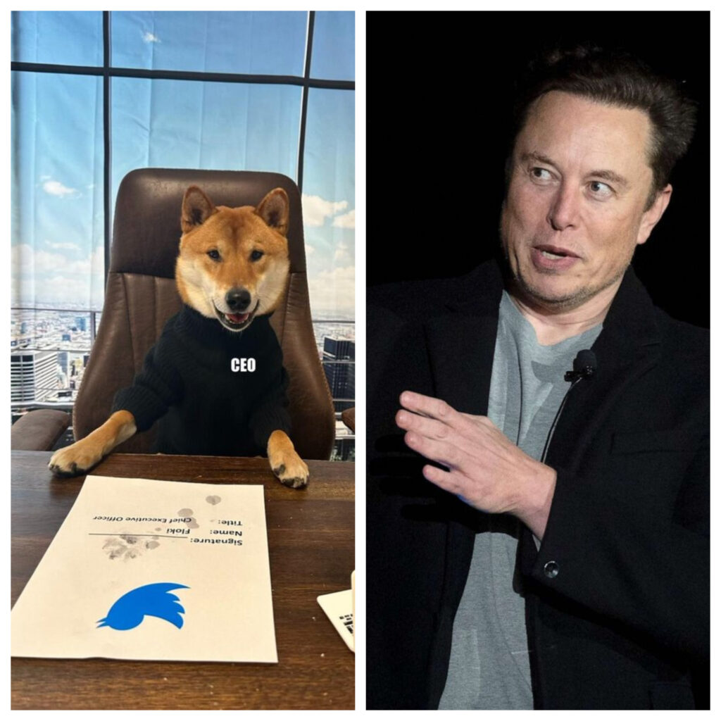 Surpriza lui Elon Musk pentru toți utilizatorii Twitter. Miliardarul a schimbat logo-ul platformei de socializare