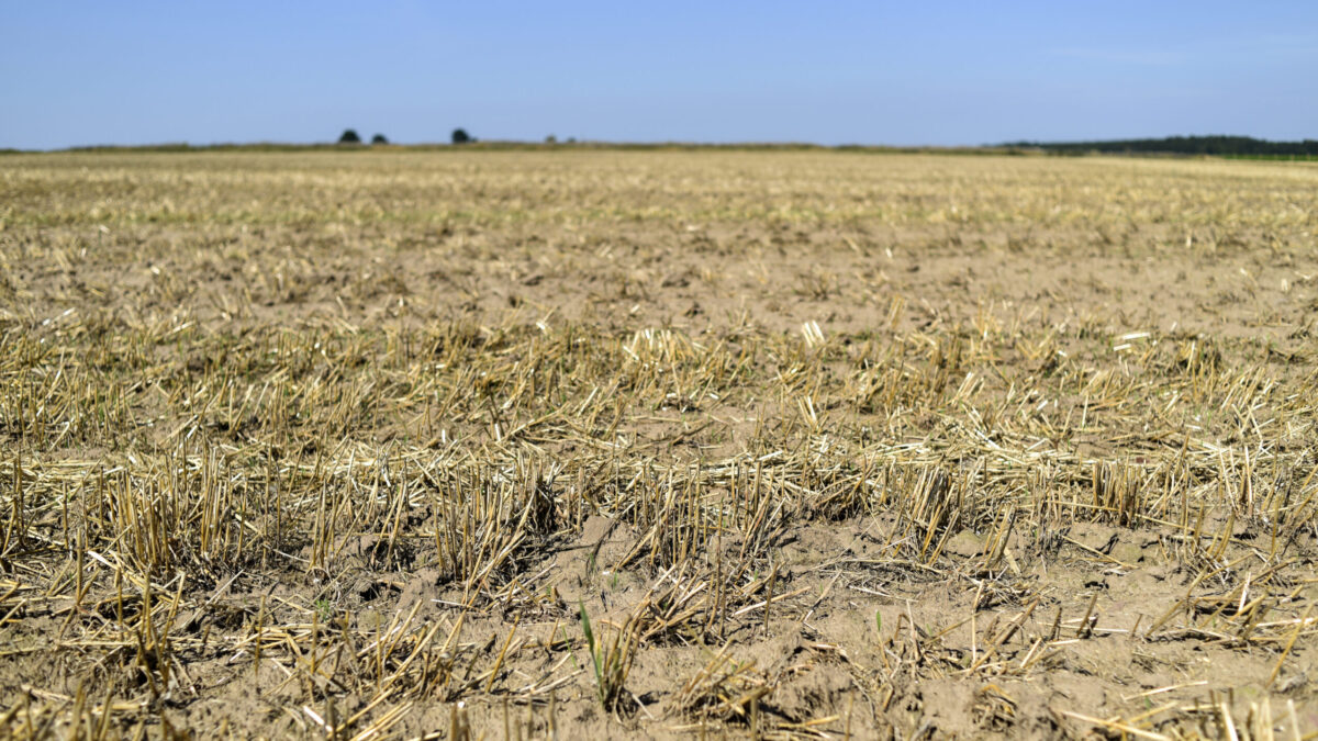 Spania se confruntă cu una dintre cele mai grave secete din istoria sa recentă