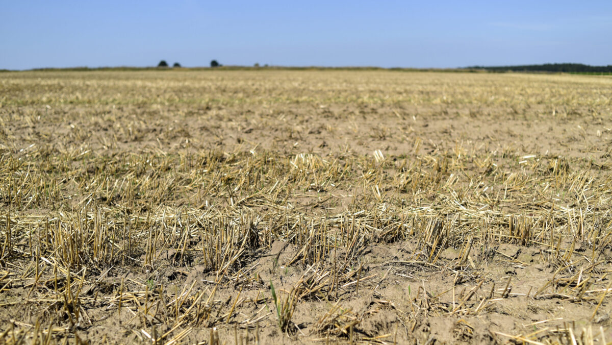 Spania se confruntă cu una dintre cele mai grave secete din istoria sa recentă