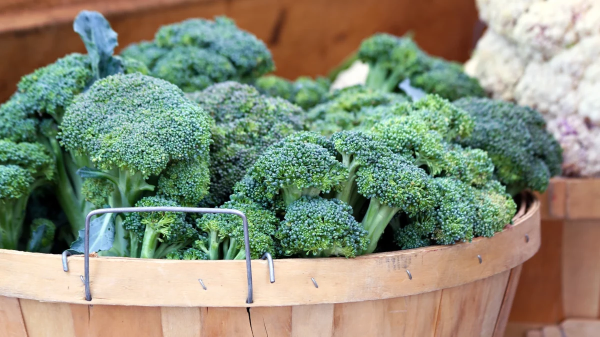 Efectele consumului de broccoli. Beneficiile sunt total nebănuite