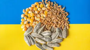 Ucraina a pierdut o treime din capacitatea de export a cerealelor prin porturile de la Marea Neagră